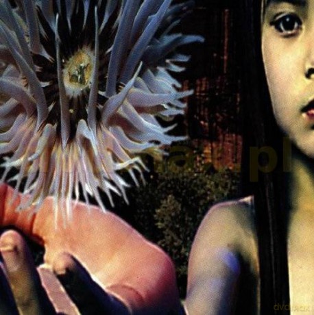 The Future Sound Of London: Lifeforms [2CD]