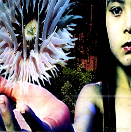 The Future Sound Of London: Lifeforms [2CD]