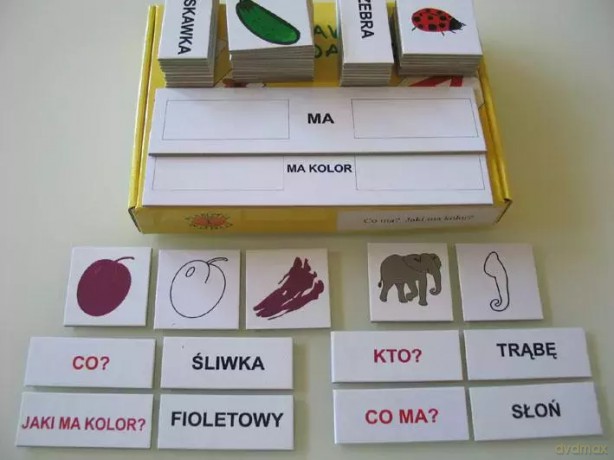 Zestaw dydaktyczny. Co ma Jaki ma kolor [KSIĄŻKA]