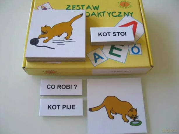 Zestaw dydaktyczny. Co robi kot [KSIĄŻKA]