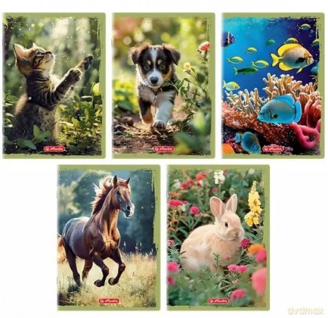 Zeszyt A5/32K linia z marginesem Animals (10szt)