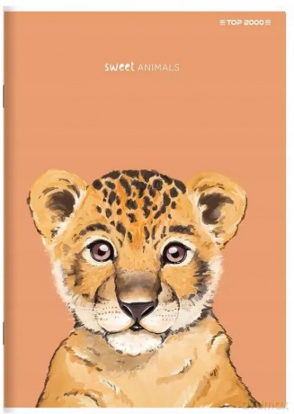 Zeszyt A5/80k kratka Animal Top Fol A 5