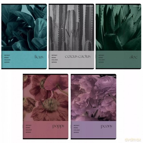Zeszyt A5/80k kratka Botany Top Fol A 5