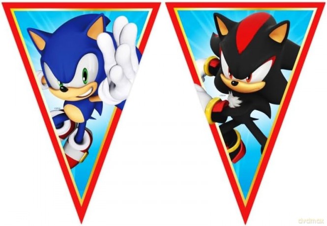 Banner Sonic flagi
