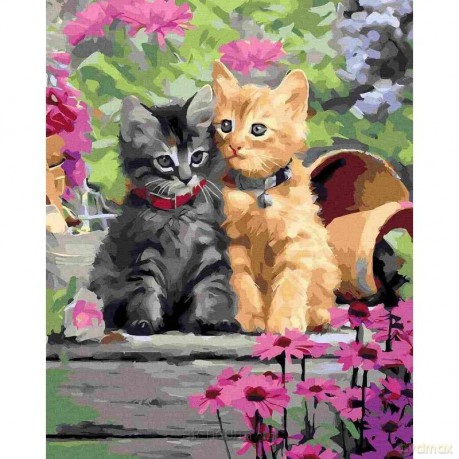Malowanie po numerach - Kotki w uścisku 40x50 cm