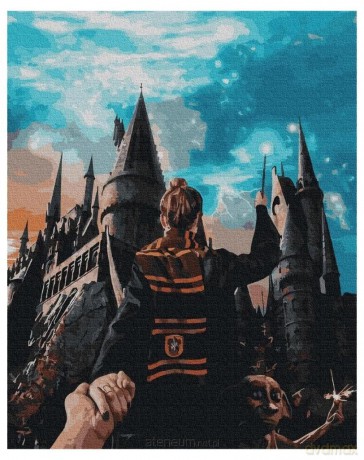 Malowanie po numerach - Magia Hogwartu 40x50 cm