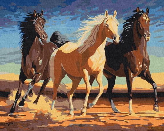 Malowanie po numerach - Stado 40x50 cm