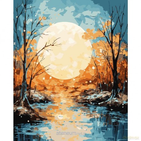 Malowanie po numerach 40x50 cm Księżyc