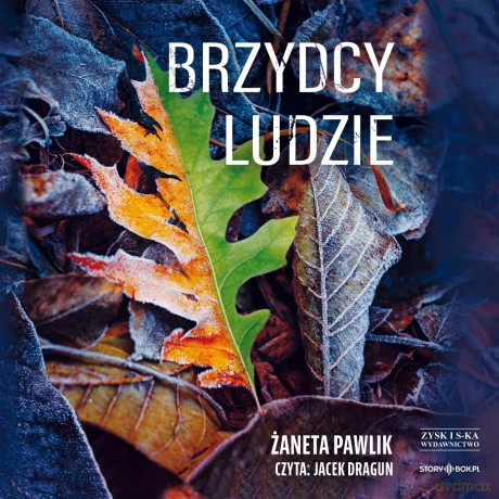 Brzydcy ludzie - Żaneta Pawlik [AUDIOBOOK]