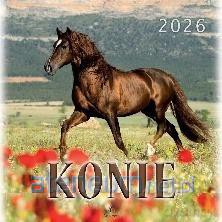 Kalendarz 2026 wieloplanszowy 33x33cm Konie [KALENDARZ]