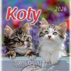 Kalendarz 2026 wieloplanszowy 33x33cm Koty [KALENDARZ]