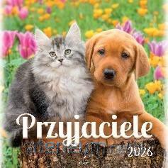 Kalendarz 2026 wieloplanszowy 33x33cm Przyjaciele [KALENDARZ]