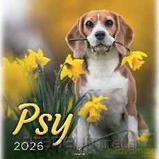 Kalendarz 2026 wieloplanszowy 33x33cm Psy [KALENDARZ]