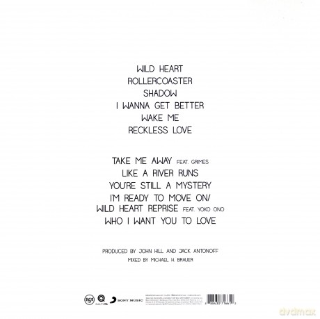 Bleachers: Strange Desire [WINYL]
