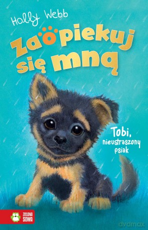 Tobi, nieustraszony psiak. Zaopiekuj się mną - Holly Webb [KSIĄŻKA]