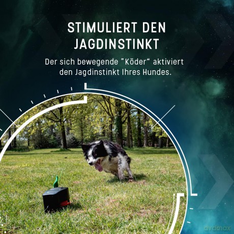 Dog Comets - Star Chaser - stimulate your dog's natural hunting