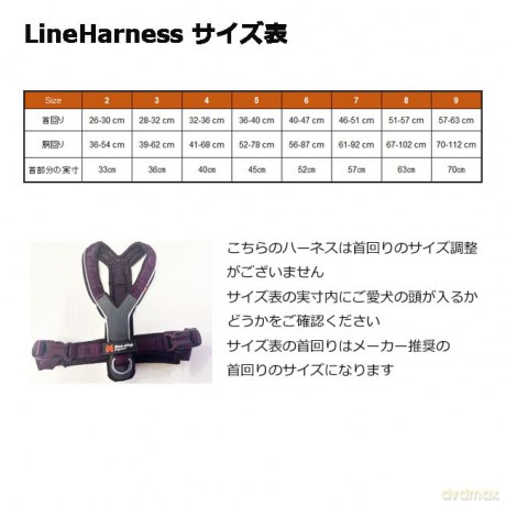 NON STOP - Non-Stop Line Harness 5.0 - Black