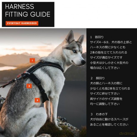 NON STOP - Non-Stop Line Harness 5.0 - Black - 7