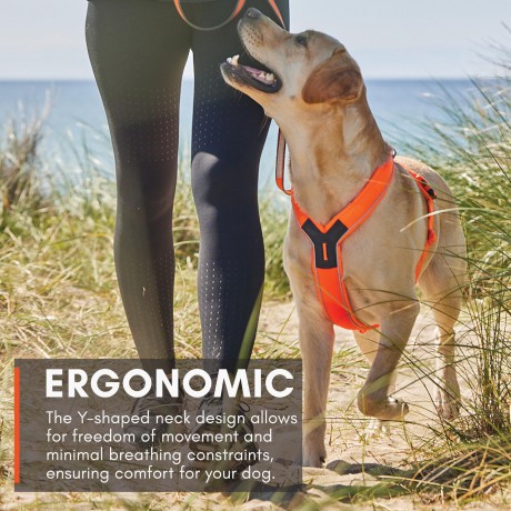 NON STOP - Non-Stop Line Harness 5.0 - Orange - 4