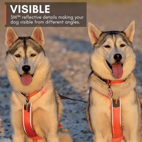 NON STOP - Non-Stop Line Harness 5.0 - Orange - 5