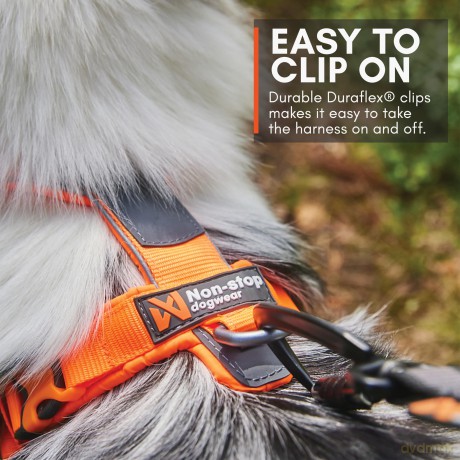 NON STOP - Non-Stop Line Harness 5.0 - Orange - 5