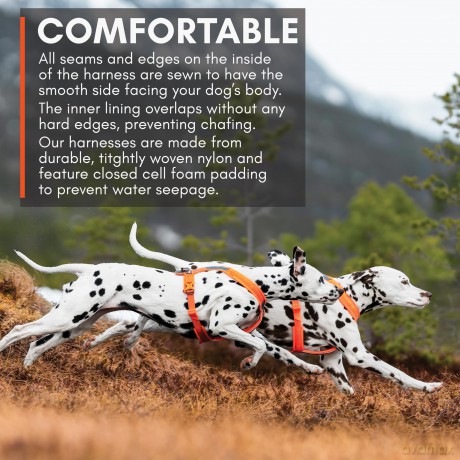NON STOP - Non-Stop Line Harness 5.0 - Orange - 6