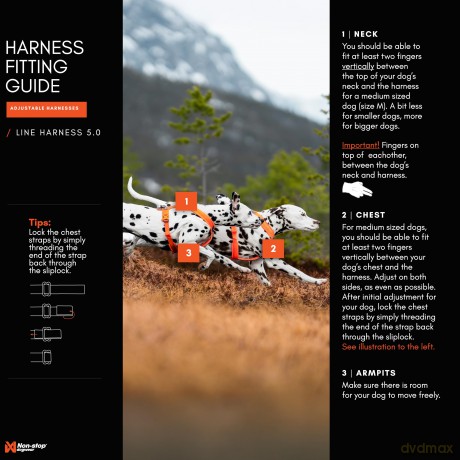 NON STOP - Non-Stop Line Harness 5.0 - Orange - 8