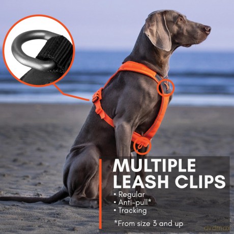 NON STOP - Non-Stop Line Harness 5.0 - Orange - 8