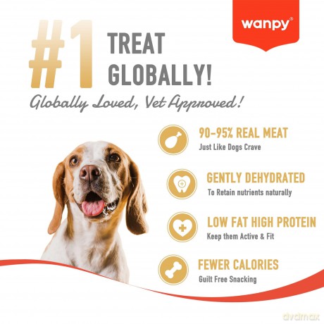 wanpy - Soft Lamb Jerky Slices - 100g