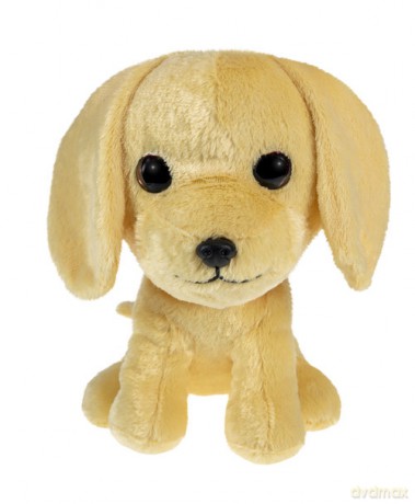 Lumo Golden retriever Molly big