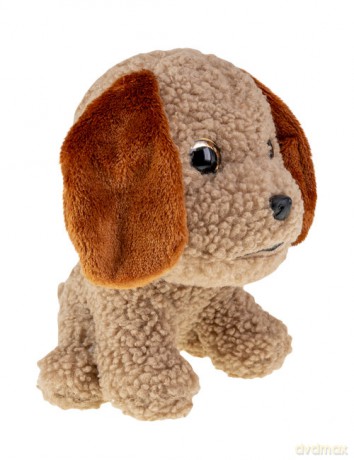 Lumo Labradoodle Poppy big