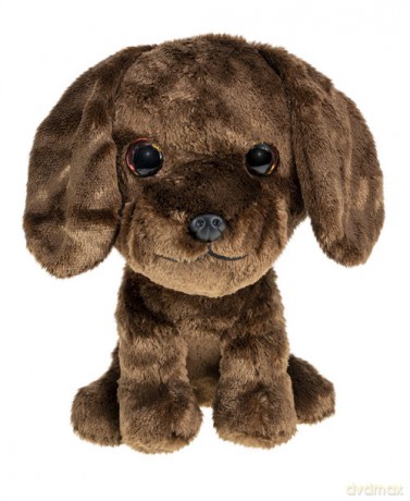 Lumo Labrador retriever Choco big