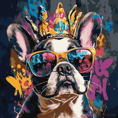 Malowanie po numerach - Jasny buldog 40x40cm