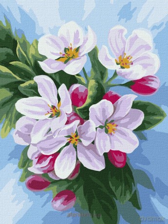 Malowanie po numerach - Kwitnięcie jabłoni 30x40cm