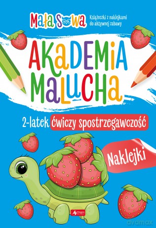 2 latek ćwiczy spostrzegawczość. Akademia malucha [KSIĄŻKA]