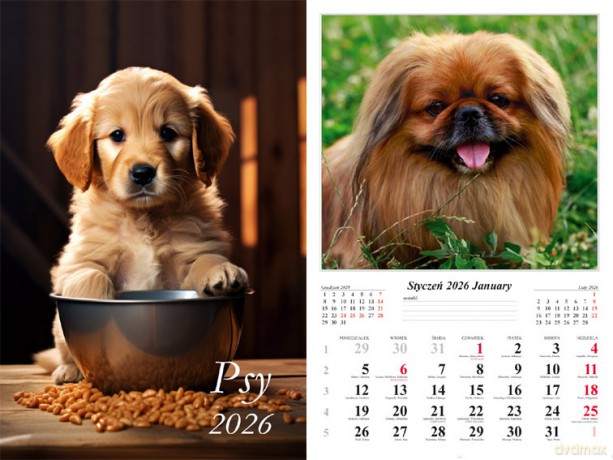 Kalendarz 2026 ścienny 13-k Psy [KALENDARZ]