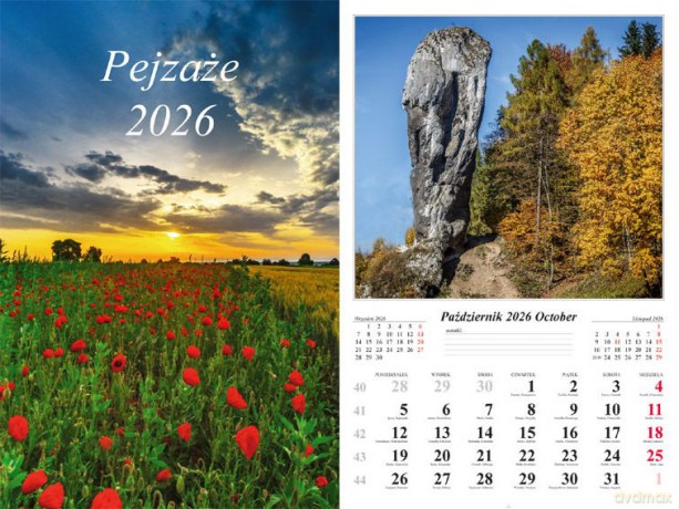 Kalendarz 2026 ścienny 7-k Pejzaże [KALENDARZ]