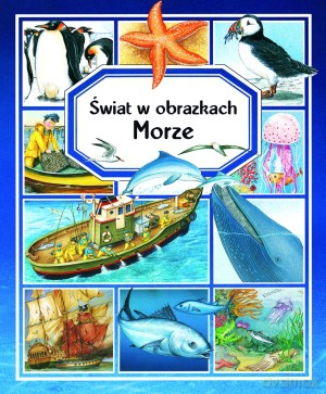 Morze. Świat w obrazkach - Emilie Beaumont, Marie-Renee Pimont [KSIĄŻKA]