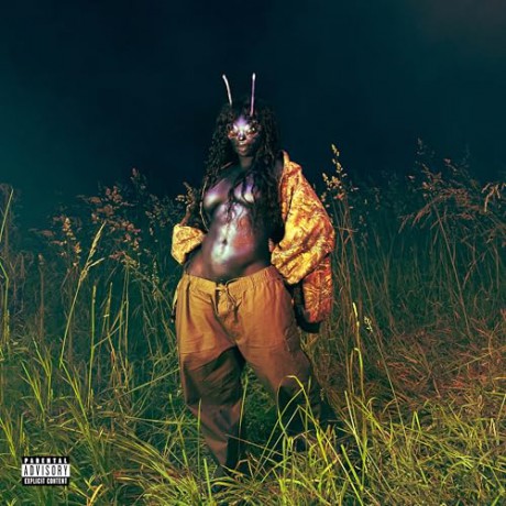SZA: Sos Deluxe: Lana [WINYL]