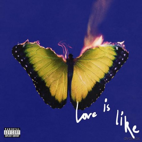 Maroon 5: Love Is Like (Marble Yellow Vinyl) [Winyl]