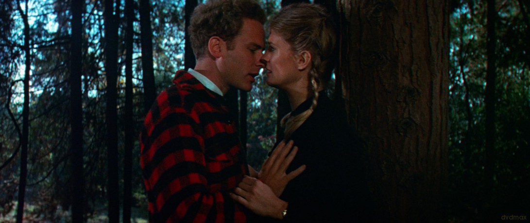 Carnal Knowledge (Porozmawiajmy o kobietach) [Blu-Ray]
