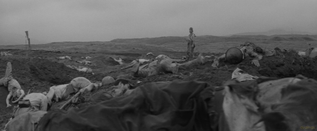 Fires on the Plain (Ognie polne) [Blu-Ray]