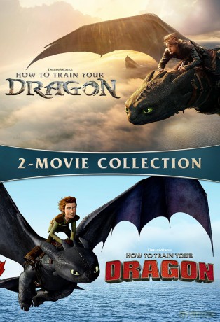 How to Train Your Dragon 2-Film Collection [DVD]