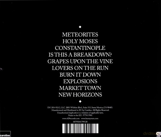 Echo & The Bunnymen: Meteorites [CD]