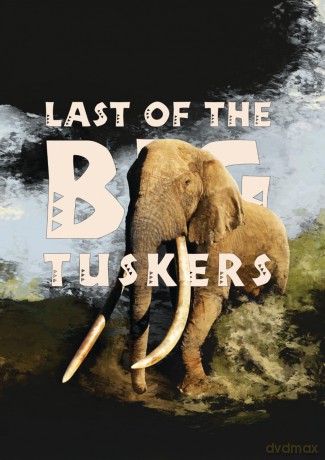 Last Of The Big Tuskers [DVD]