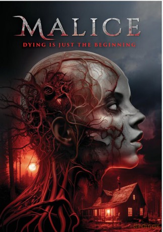 Malice [DVD]