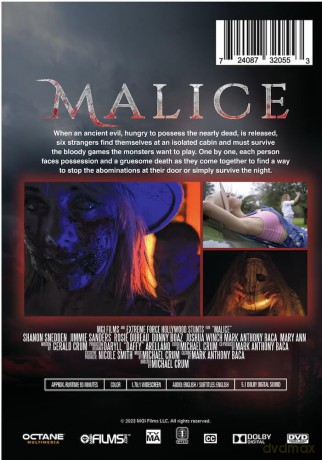 Malice [DVD]