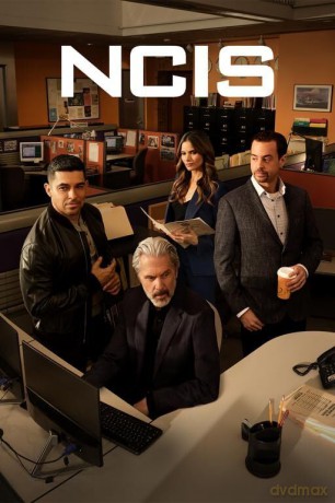 NCIS: Naval Criminal Investigative Service: The Twenty-Second Season [DVD]