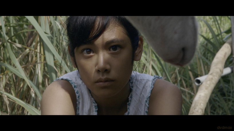Nature and Nurture: Three Films By Naomi Kawase [2xBlu-Ray]