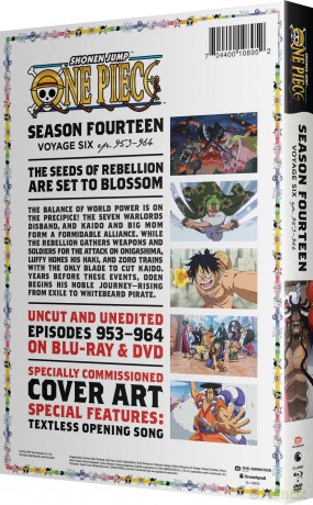 One Piece season 14 Voyage 6 [2xBlu-Ray]+[2xDVD]